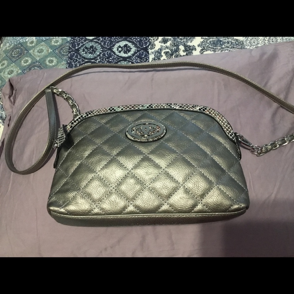 Silvery bronze purse